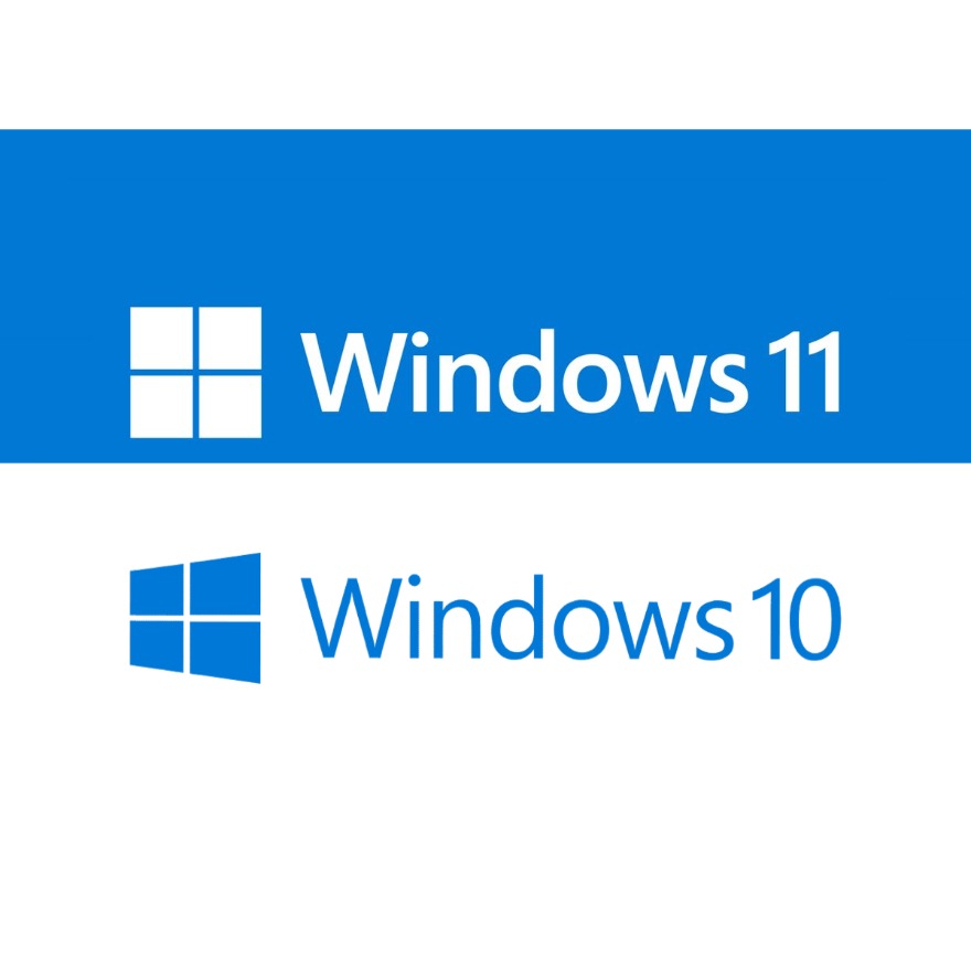 Windows 10 or 11 Professional licence